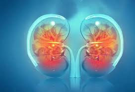 About KidneyCare